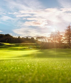 Golf course with green grass course and a red flag Golf course with green grass course and a red flag